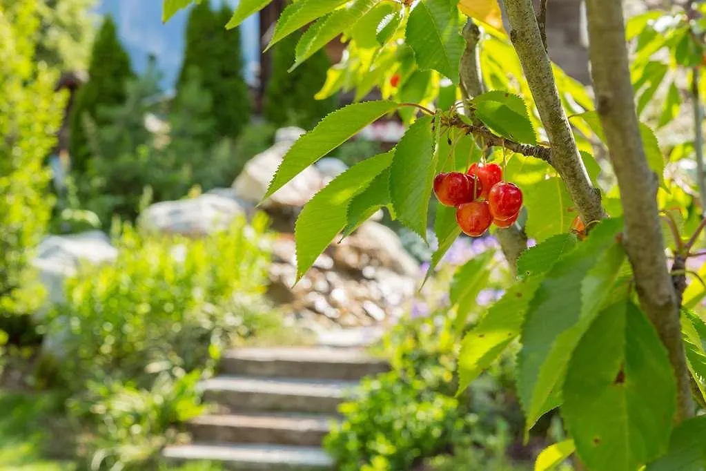 **** Hotel Chalet-Hotel Hermitage Chamonix Mont Blanc Francia